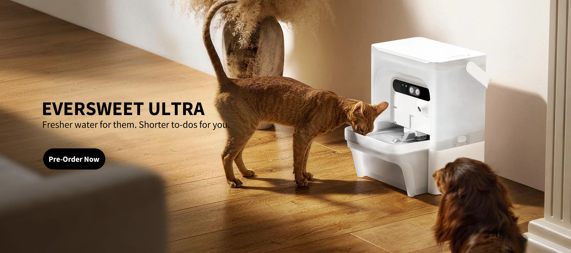 Elevated Style for Every Tail